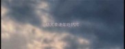 幼犬泰迪能吃钙片