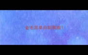 金毛简单自制狗粮
