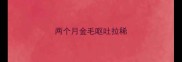两个月金毛呕吐拉稀