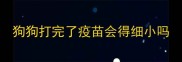 狗狗打完了疫苗会得细小吗