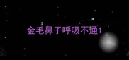 金毛鼻子呼吸不通