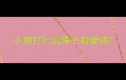 小狗打针后脖子有硬块