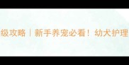 40天哈士奇保姆级攻略新手养宠必看幼犬护理全流程大公开