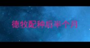 德牧配种后半个月