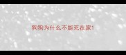 狗狗为什么不能死在家