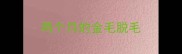 两个月的金毛脱毛