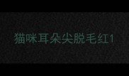猫咪耳朵尖脱毛红