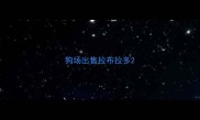 狗场出售拉布拉多