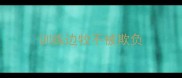 训练边牧不被欺负