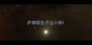 萨摩耶生不出小狗