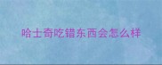 哈士奇吃错东西会怎么样