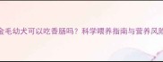 金毛幼犬可以吃香肠吗科学喂养指南与营养风险