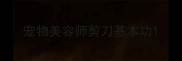 宠物美容师剪刀基本功