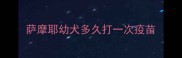 萨摩耶幼犬多久打一次疫苗