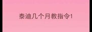 泰迪几个月教指令