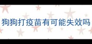 狗狗打疫苗有可能失效吗
