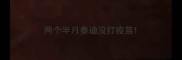 两个半月泰迪没打疫苗