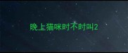 晚上猫咪时不时叫