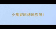 小狗能吃烤地瓜吗