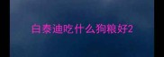 白泰迪吃什么狗粮好