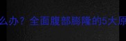 小狗大肚子怎么办全面腹部膨隆的5大原因及应对措施