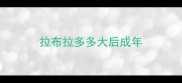拉布拉多多大后成年