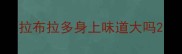 拉布拉多身上味道大吗