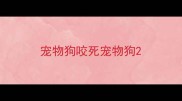 宠物狗咬死宠物狗