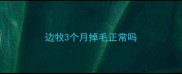 边牧3个月掉毛正常吗