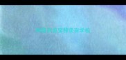 南昌创美宠物美容学校