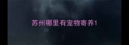 苏州哪里有宠物寄养