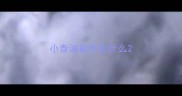 小泰迪能吃些什么