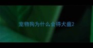 宠物狗为什么会得犬瘟