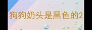 狗狗奶头是黑色的
