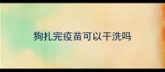 狗扎完疫苗可以干洗吗