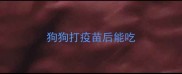 狗狗打疫苗后能吃