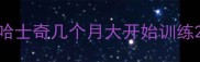 哈士奇几个月大开始训练