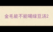 金毛能不能喝绿豆汤
