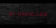 两个月狗狗吃几顿饭