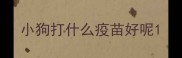 小狗打什么疫苗好呢
