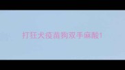 打狂犬疫苗狗双手麻酸