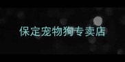保定宠物狗专卖店