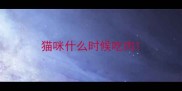 猫咪什么时候吃肉