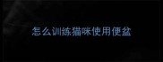 怎么训练猫咪使用便盆