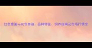 红色泰迪vs灰色泰迪品种特征饲养指南及市场行情全