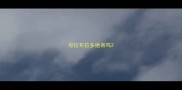 母拉布拉多绝育吗