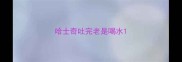 哈士奇吐完老是喝水