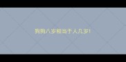狗狗八岁相当于人几岁