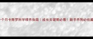 十个月卡斯罗科学喂养指南成长关键期必看新手养狗必收藏