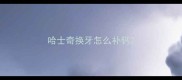 哈士奇换牙怎么补钙